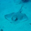 marsa2009 172